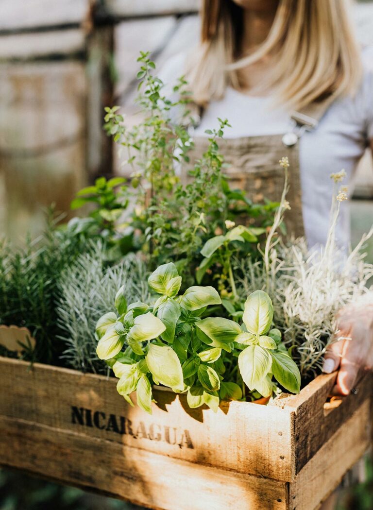 Gin Garden