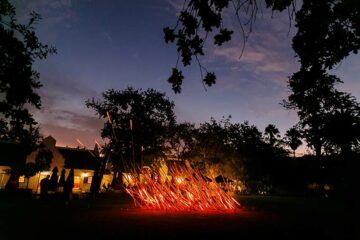 Spier-Light-Art