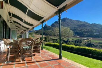 Constantia Glen Wine Harvest