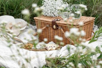 Gin picnics at Wild Coast Sun