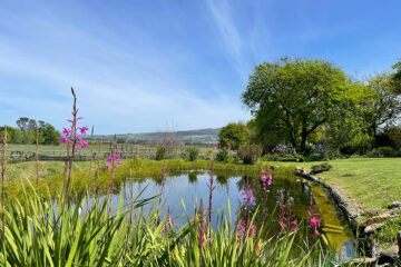 Avondale Open Gardens