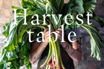 Harvest Table