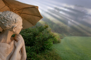 Tokara Rare Plant Fair and Autumn Open Garden