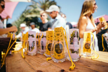 Gin & Tonic Festival Cape Town