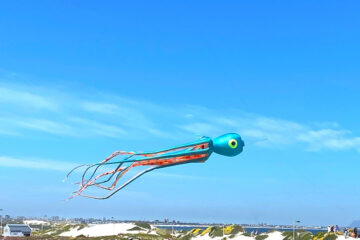 Cape Town Kite Festival