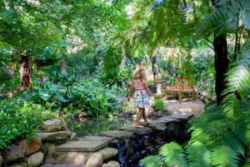 Tokara Open Garden