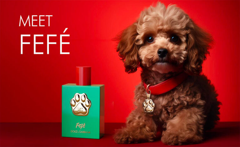 Dolce&Gabbana Fefé