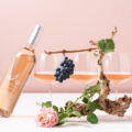 Babylonstoren’s 2026 Mourvèdre Rosé